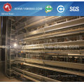 Battery Cage Made by Hot Galvanized Wire Mesh